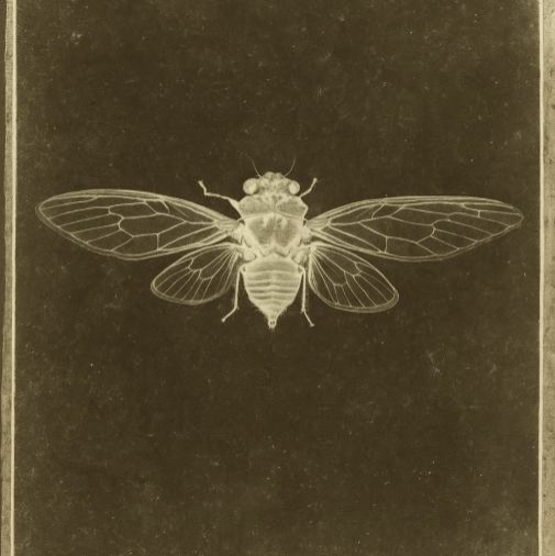Ghosts Poster Image