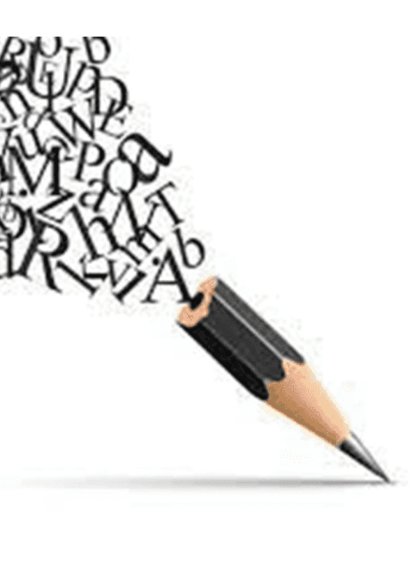 NVT Writers shorts