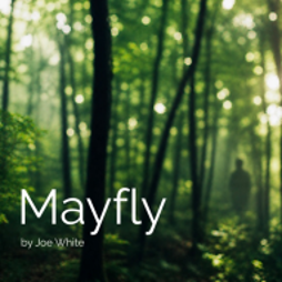 Mayfly